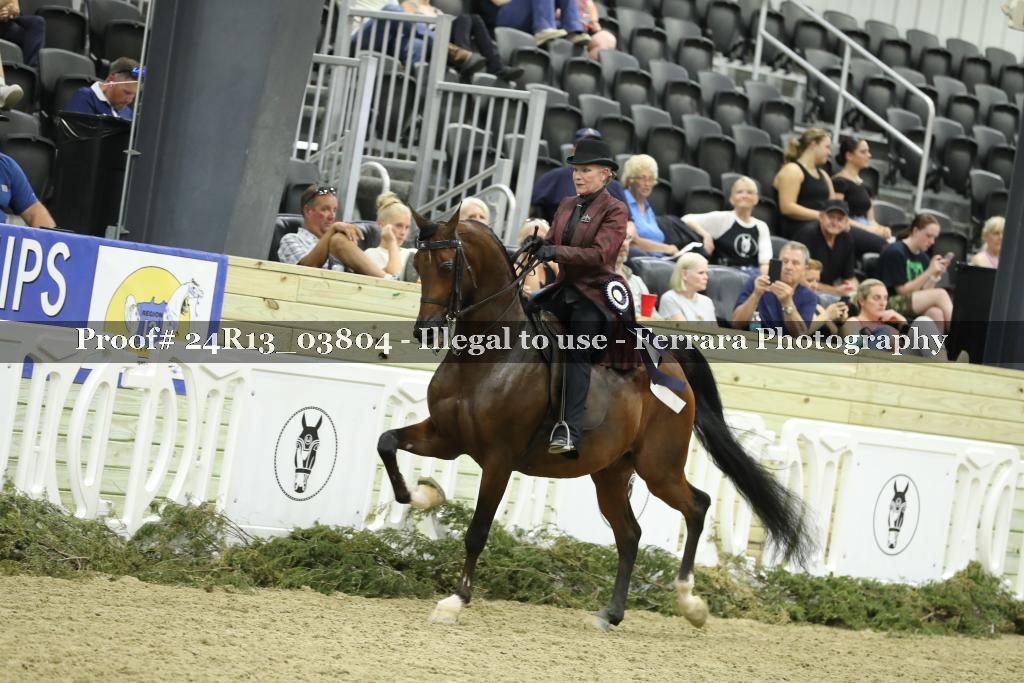 Proof Number 24R13_03804