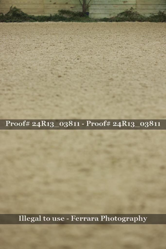 Proof Number 24R13_03811