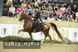 24R13_03812 thumbnail