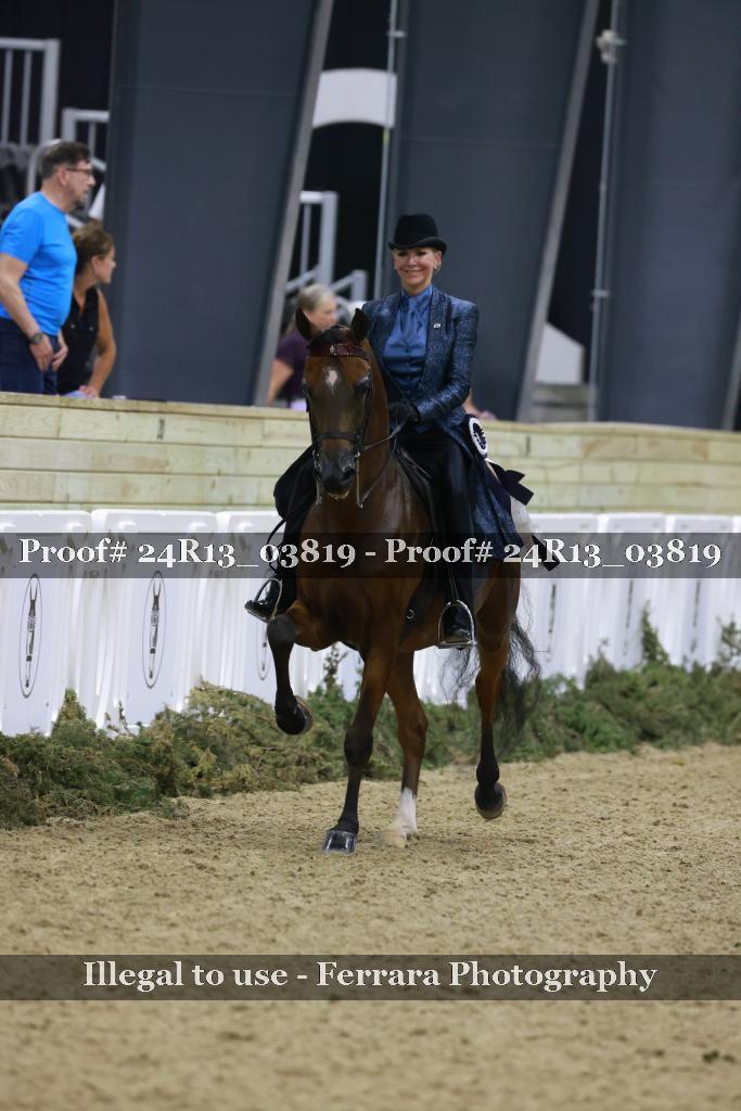 Proof Number 24R13_03819
