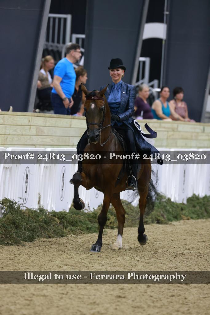 Proof Number 24R13_03820