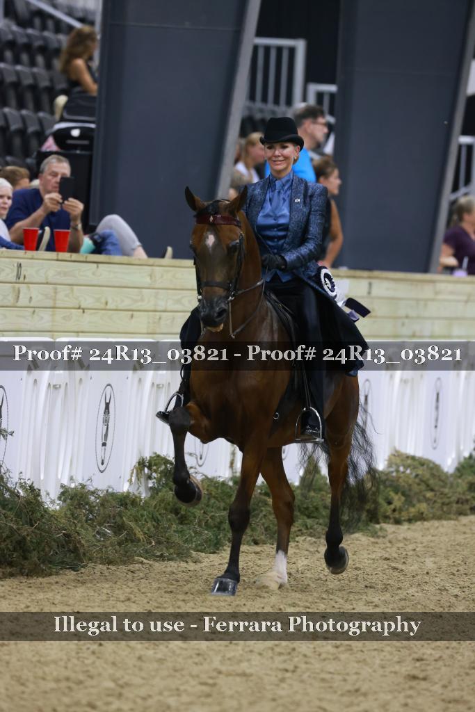 Proof Number 24R13_03821