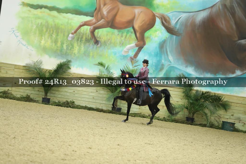Proof Number 24R13_03823