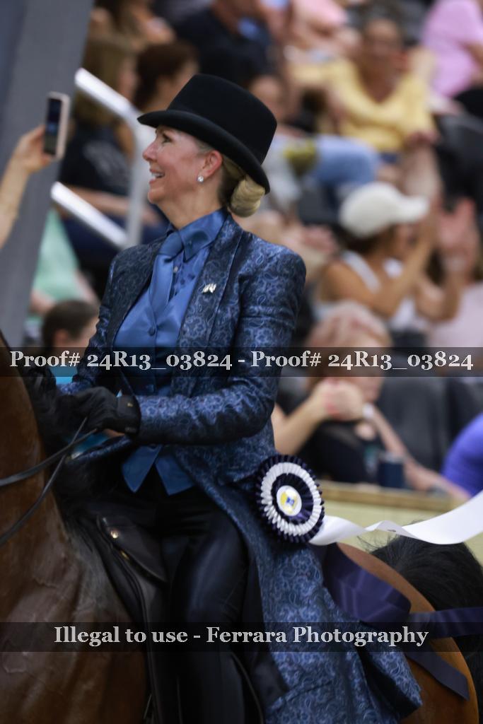 Proof Number 24R13_03824