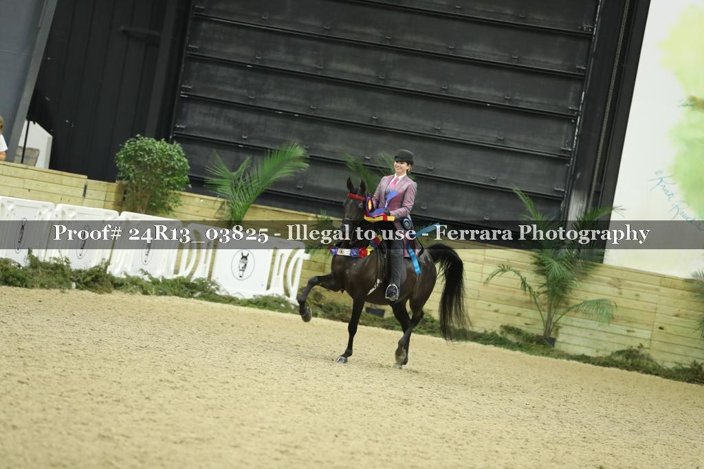 Proof Number 24R13_03825