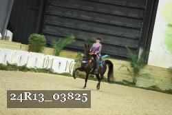 24R13_03825 thumbnail