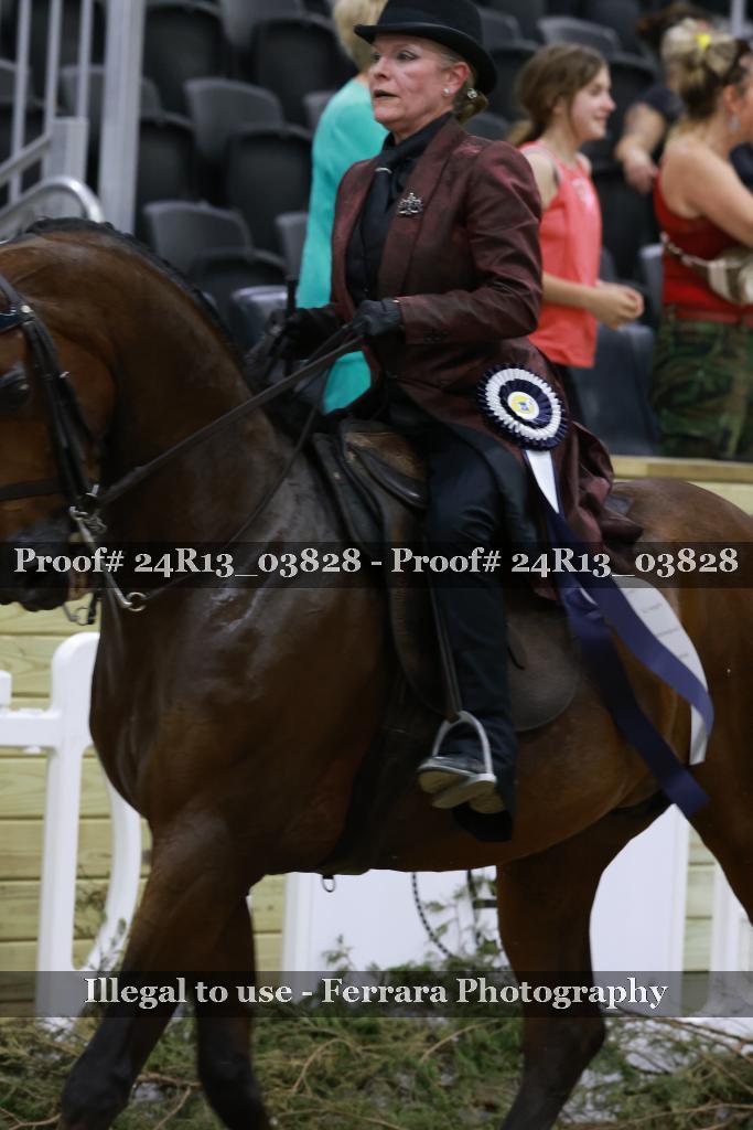Proof Number 24R13_03828