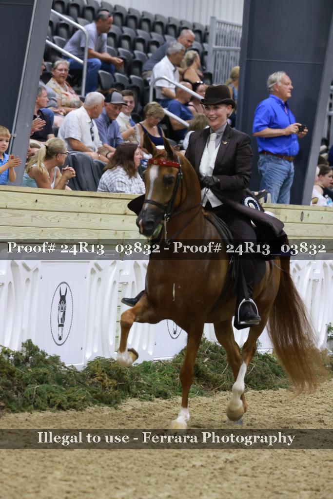 Proof Number 24R13_03832