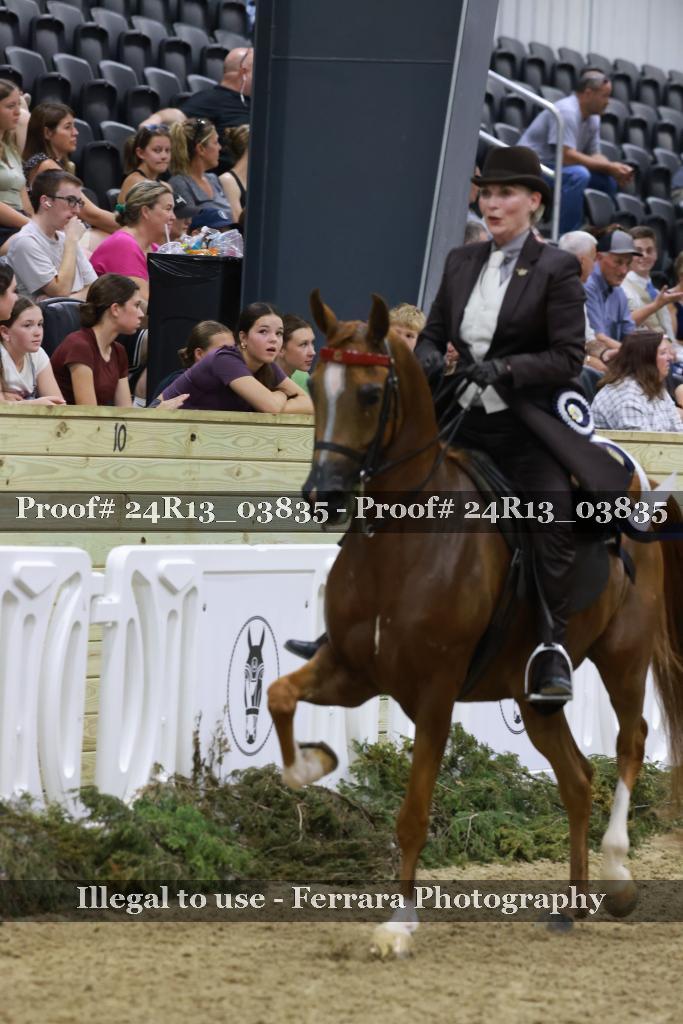 Proof Number 24R13_03835