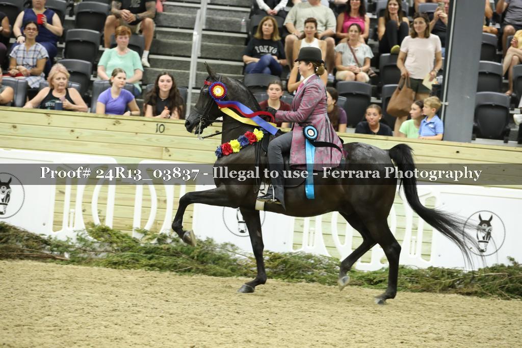 Proof Number 24R13_03837