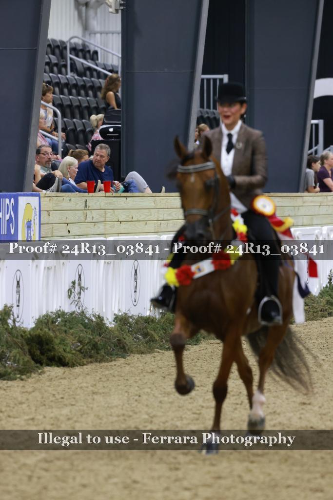 Proof Number 24R13_03841