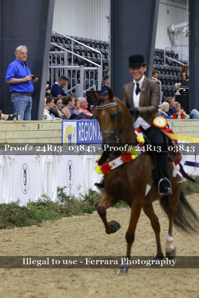 Proof Number 24R13_03843