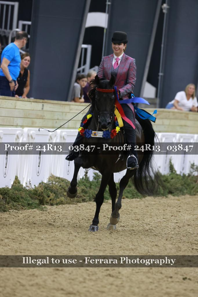 Proof Number 24R13_03847