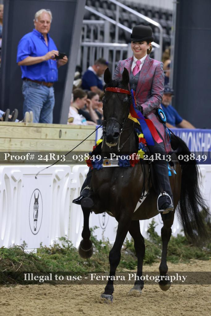 Proof Number 24R13_03849