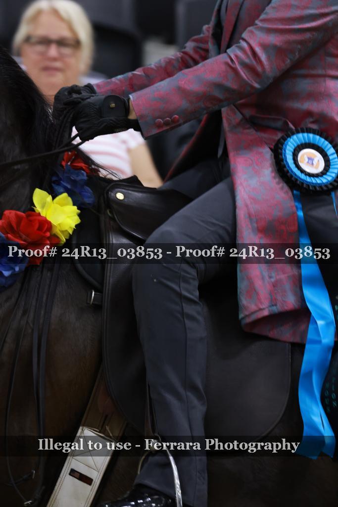 Proof Number 24R13_03853