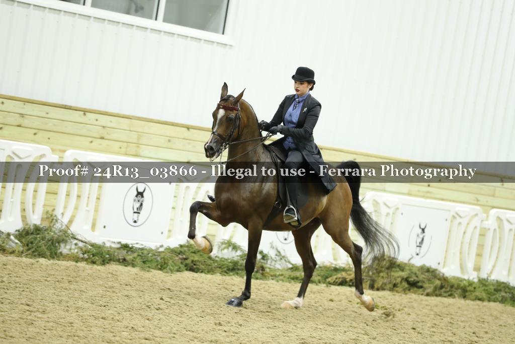 Proof Number 24R13_03866