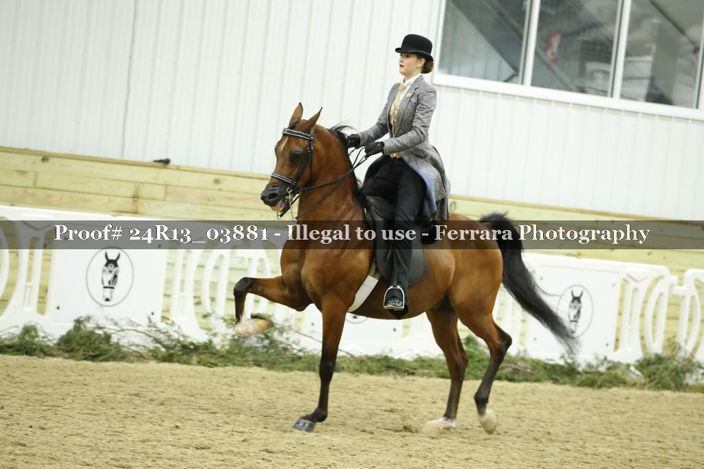 Proof Number 24R13_03881