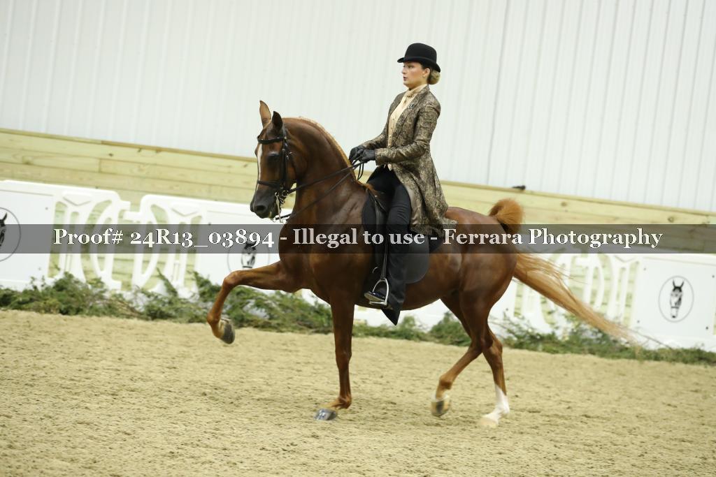 Proof Number 24R13_03894