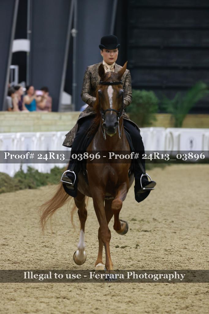 Proof Number 24R13_03896