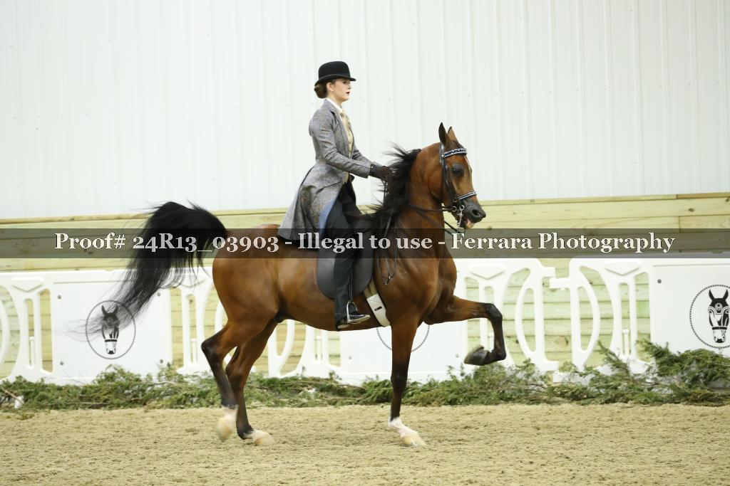 Proof Number 24R13_03903