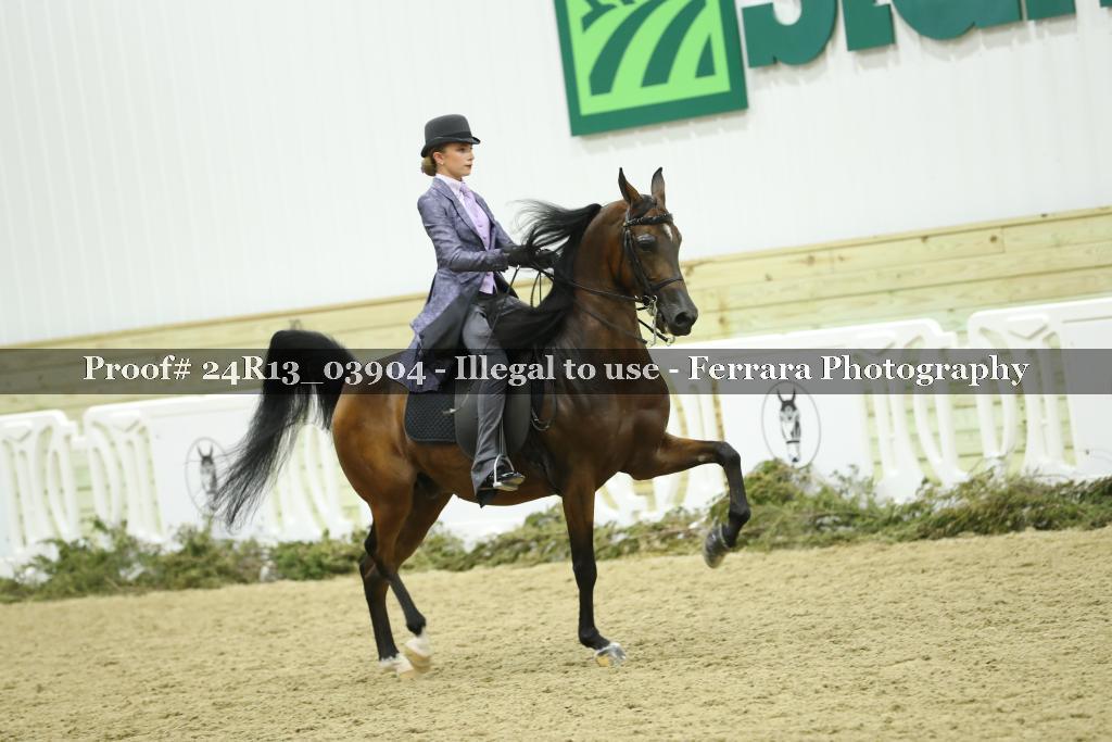 Proof Number 24R13_03904