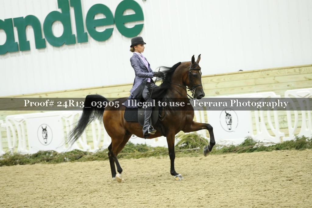 Proof Number 24R13_03905