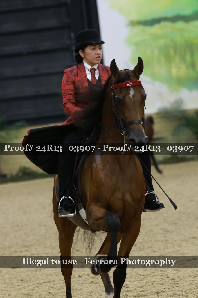 Proof Number 24R13_03907
