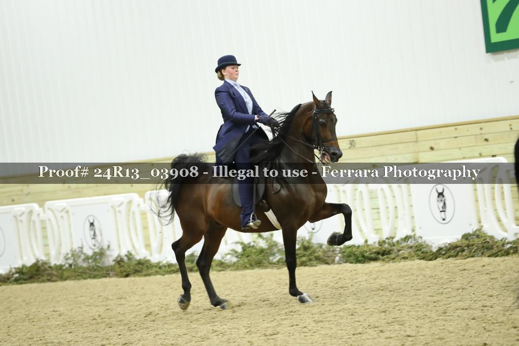 Proof Number 24R13_03908