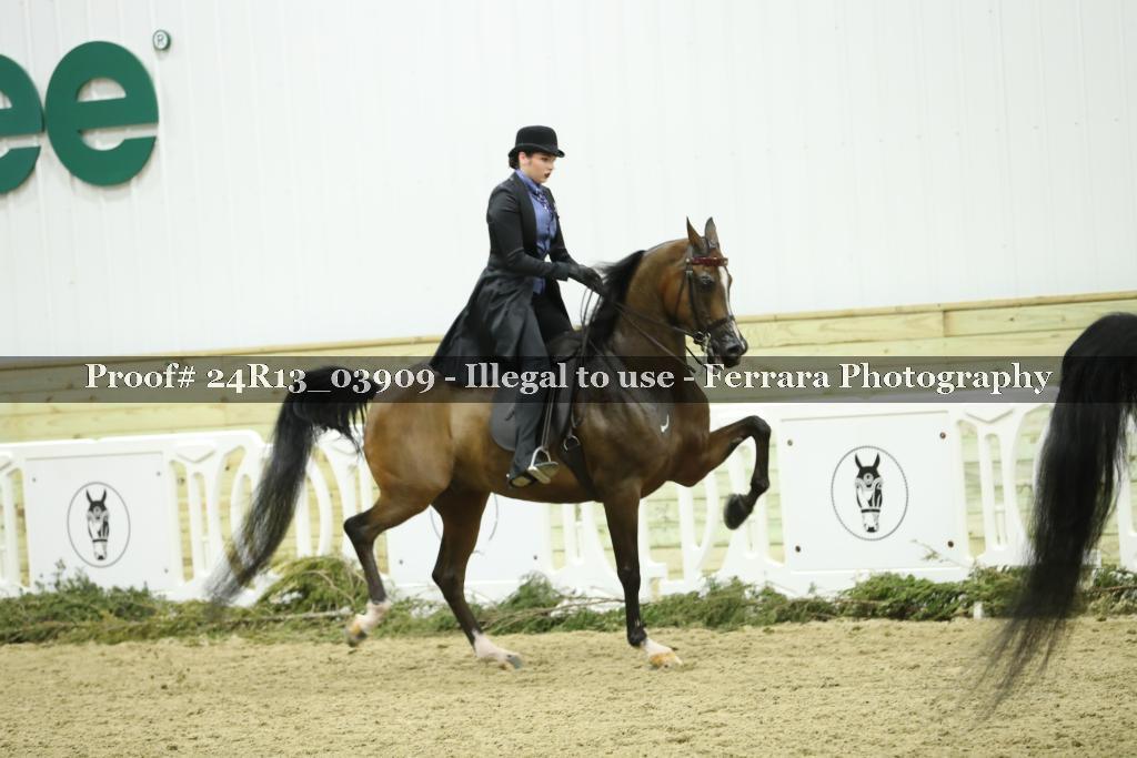 Proof Number 24R13_03909