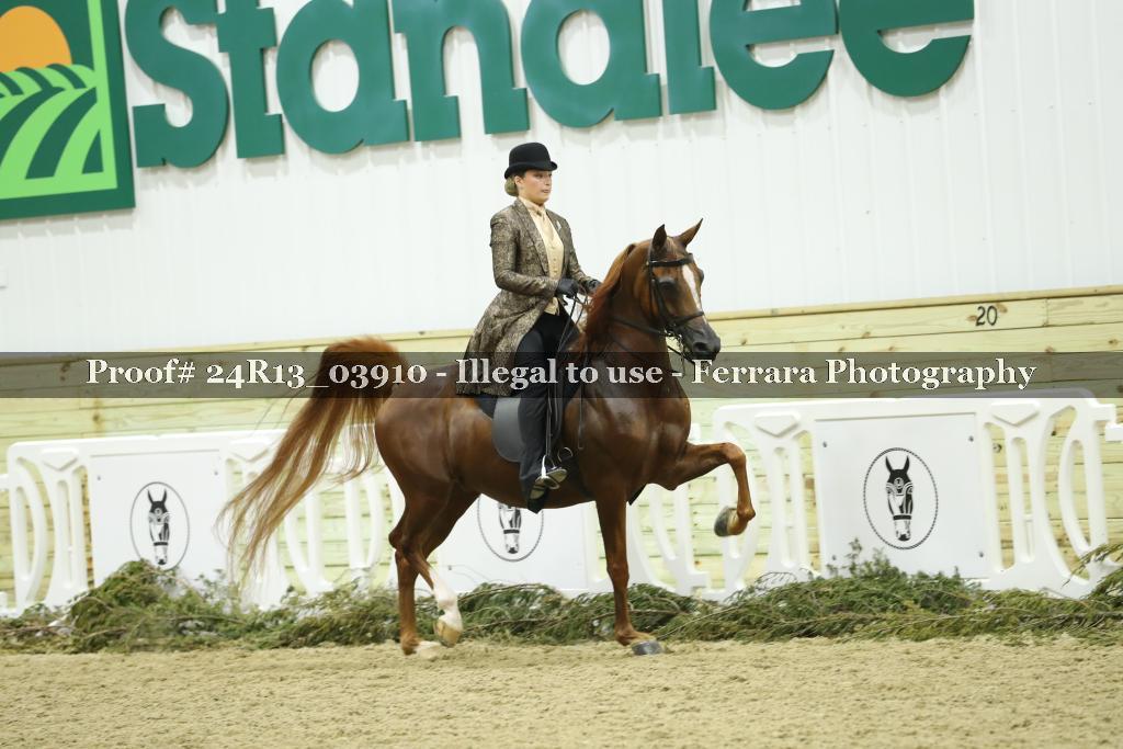 Proof Number 24R13_03910