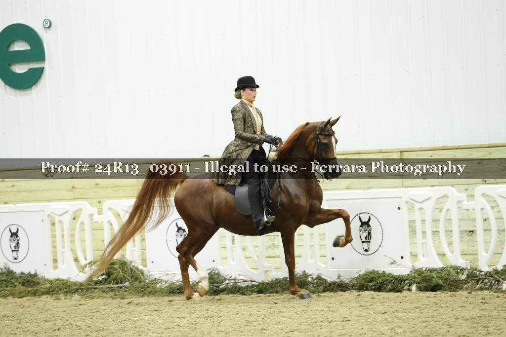 Proof Number 24R13_03911