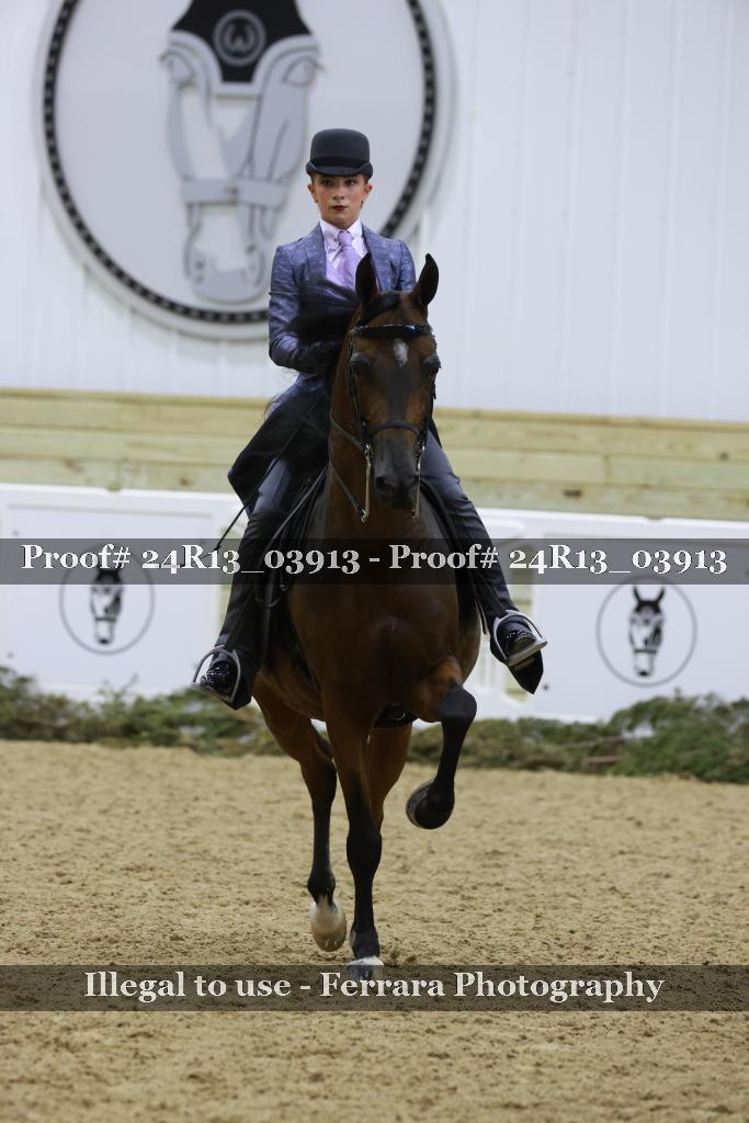 Proof Number 24R13_03913