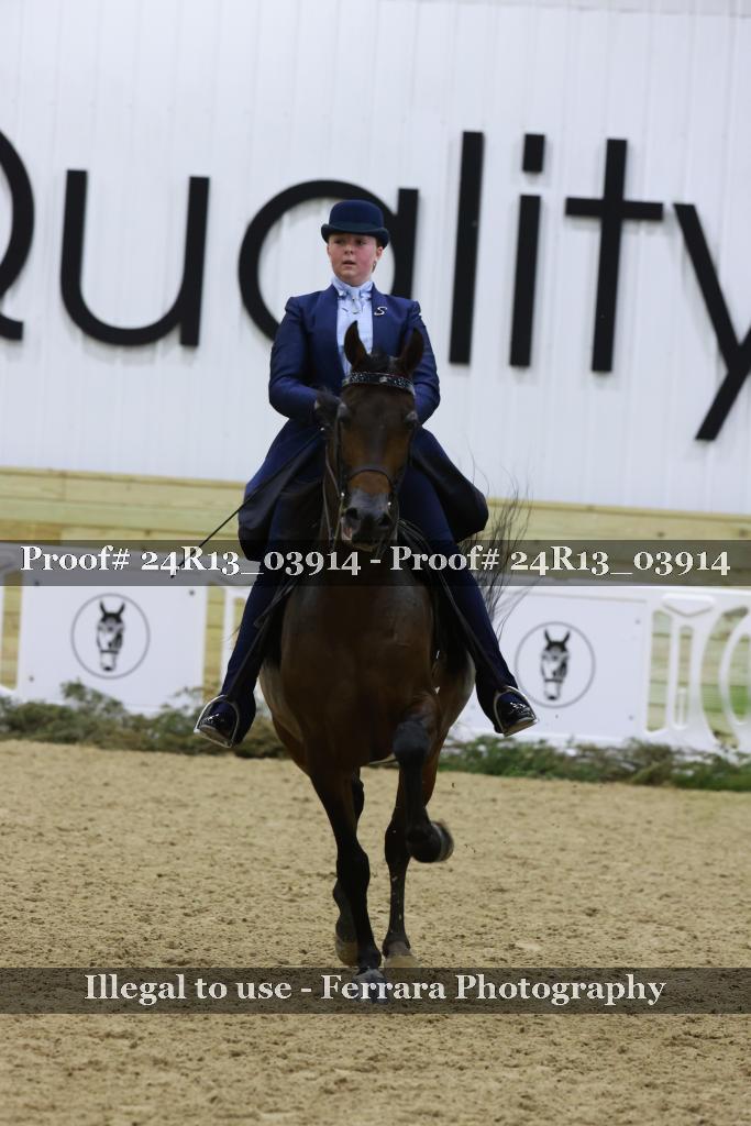 Proof Number 24R13_03914