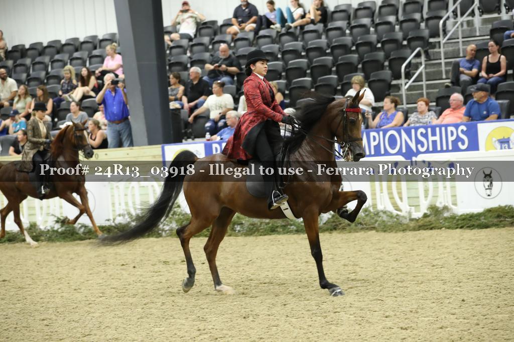 Proof Number 24R13_03918