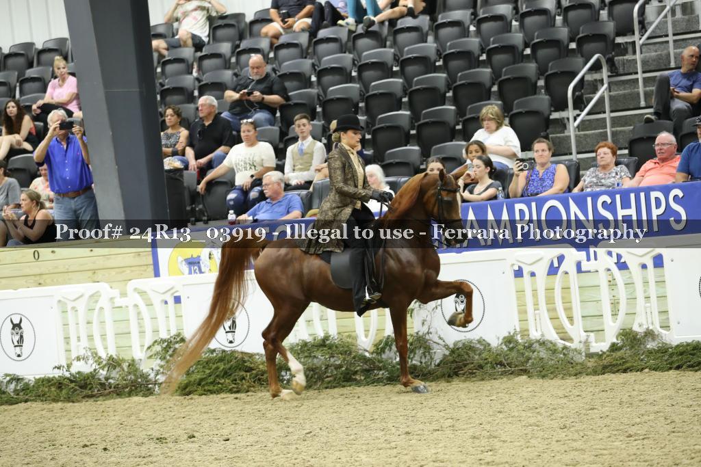Proof Number 24R13_03919