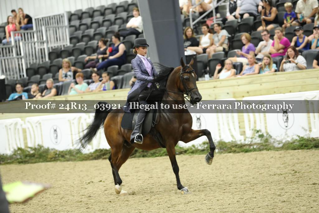 Proof Number 24R13_03921