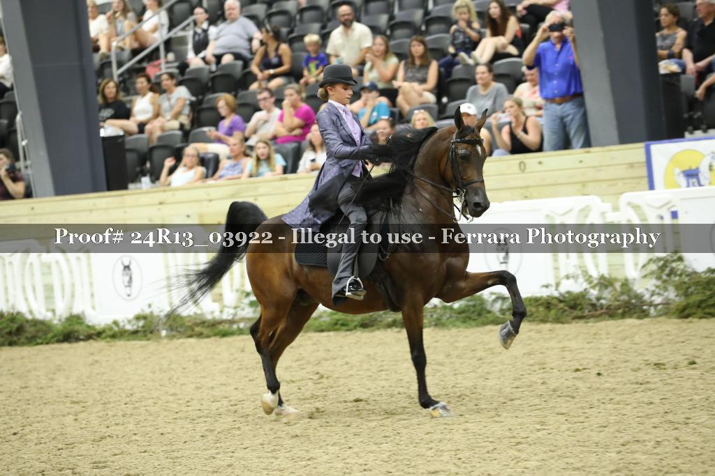 Proof Number 24R13_03922