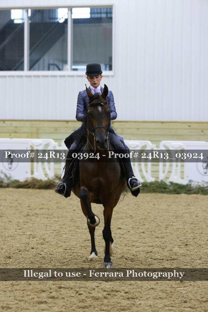 Proof Number 24R13_03924