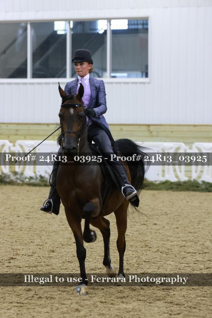 Proof Number 24R13_03925