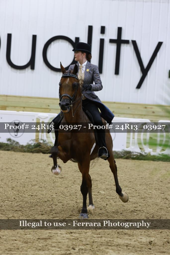 Proof Number 24R13_03927