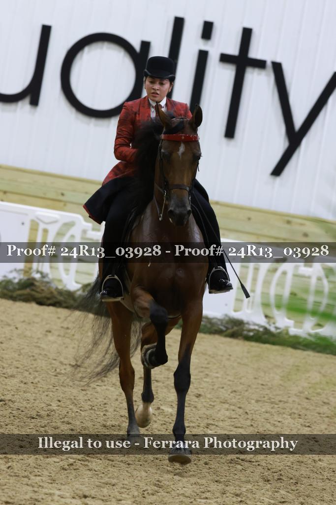 Proof Number 24R13_03928