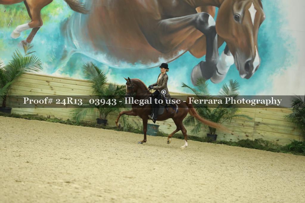 Proof Number 24R13_03943
