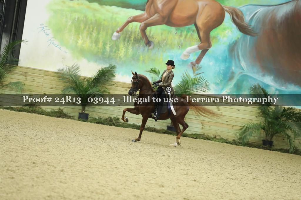 Proof Number 24R13_03944