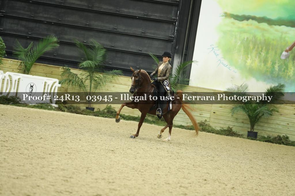 Proof Number 24R13_03945