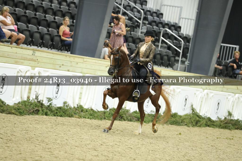 Proof Number 24R13_03946