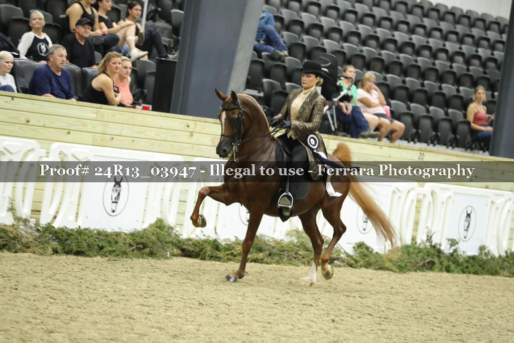 Proof Number 24R13_03947