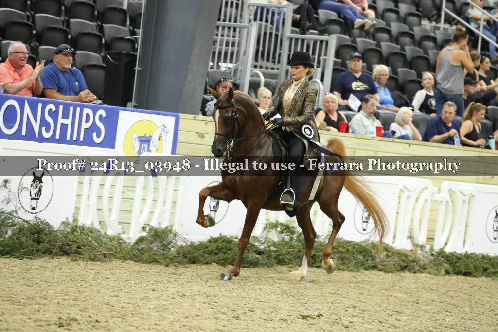 Proof Number 24R13_03948
