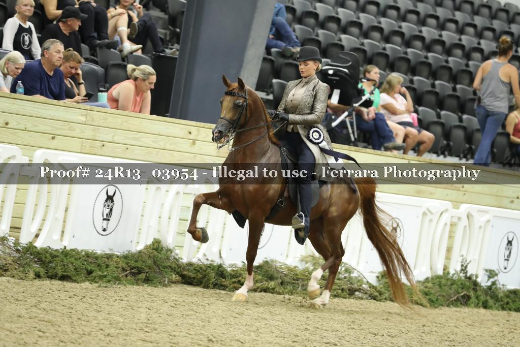 Proof Number 24R13_03954