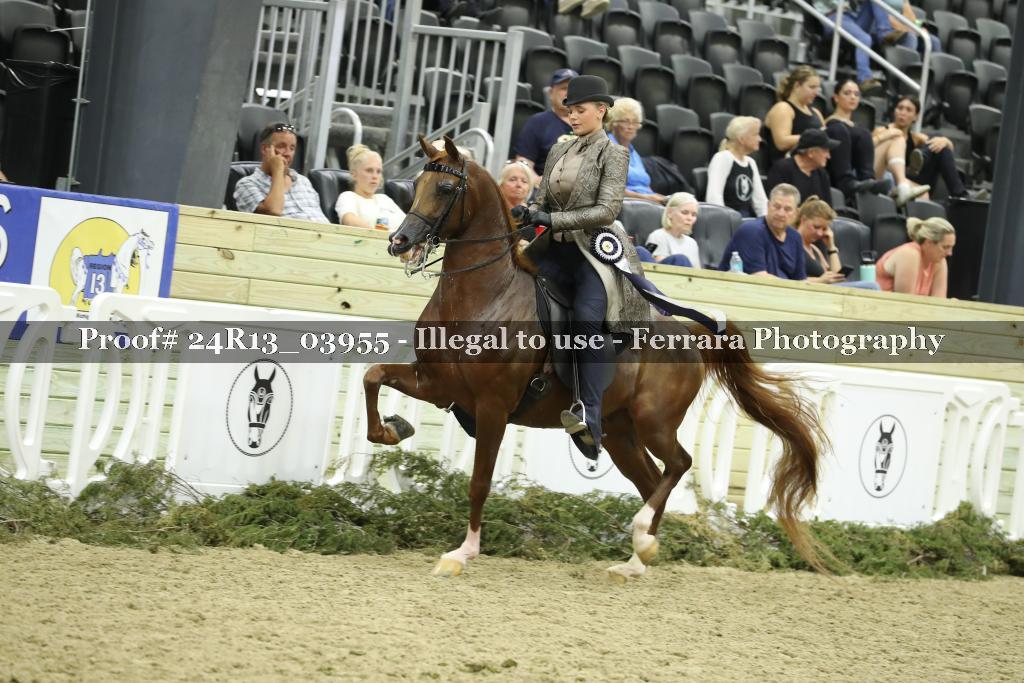 Proof Number 24R13_03955