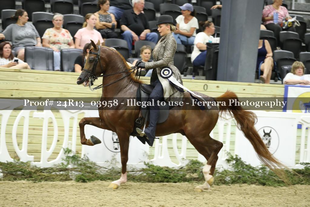 Proof Number 24R13_03958